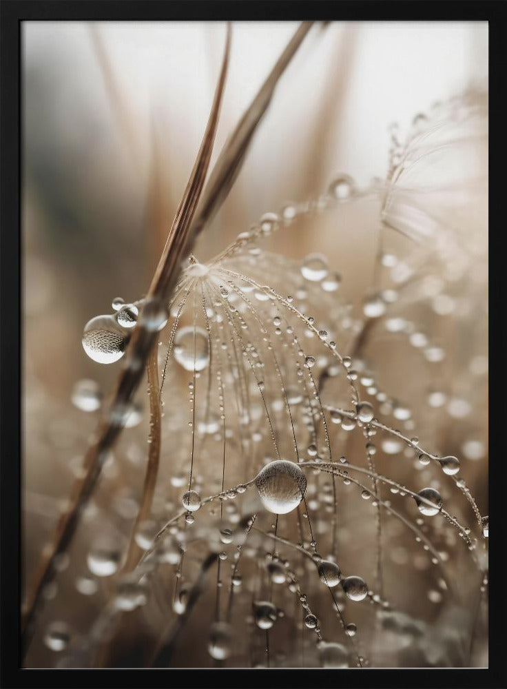 Dewy Filigree | Poster