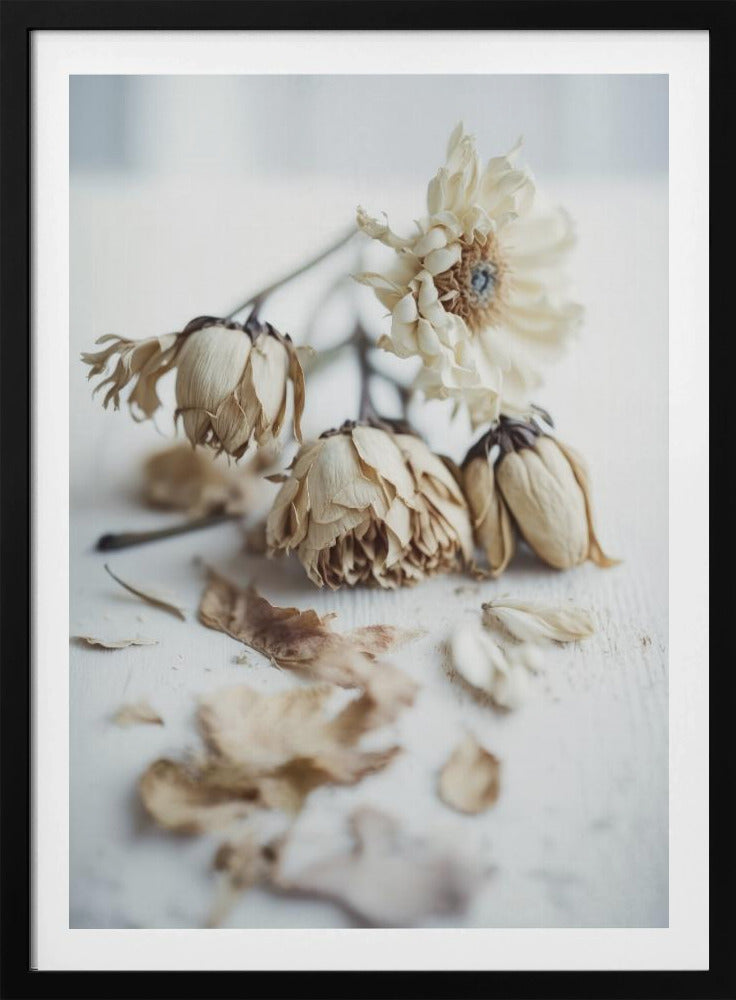 Verblasste Eleganz | Poster