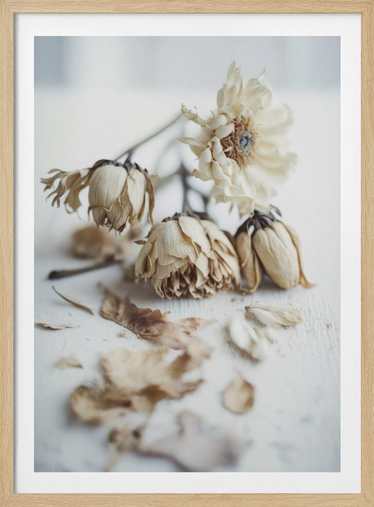 Verblasste Eleganz | Poster