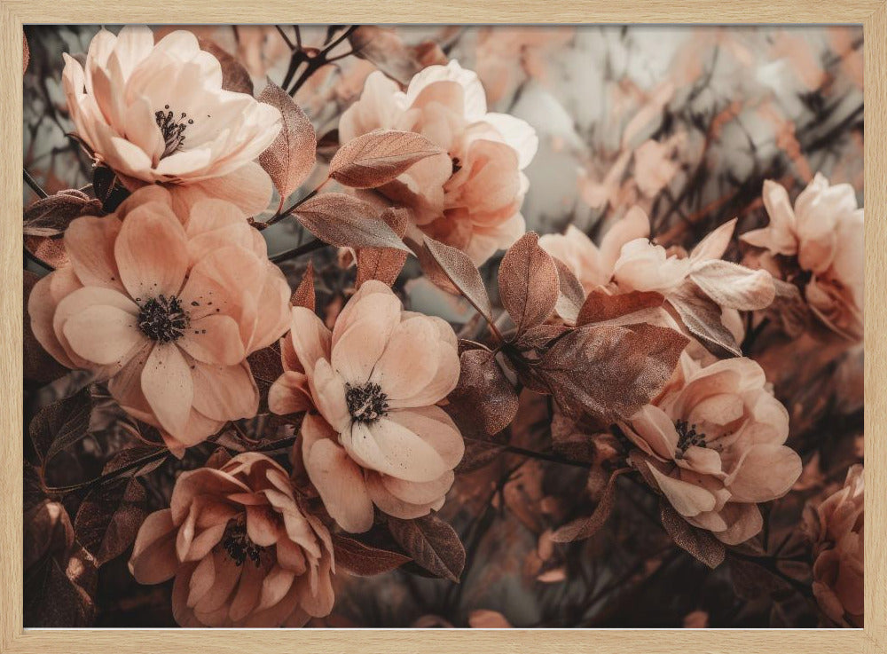 Petals in Harmony | Poster