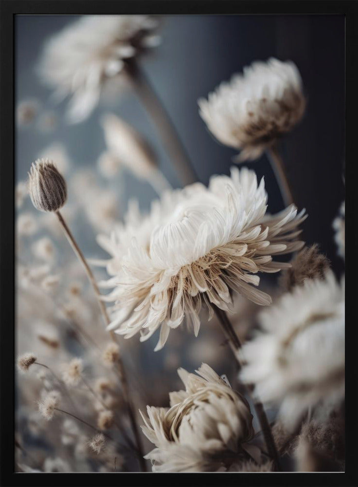 Petals in Whisper | Poster