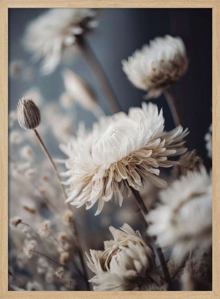 Petals in Whisper | Poster