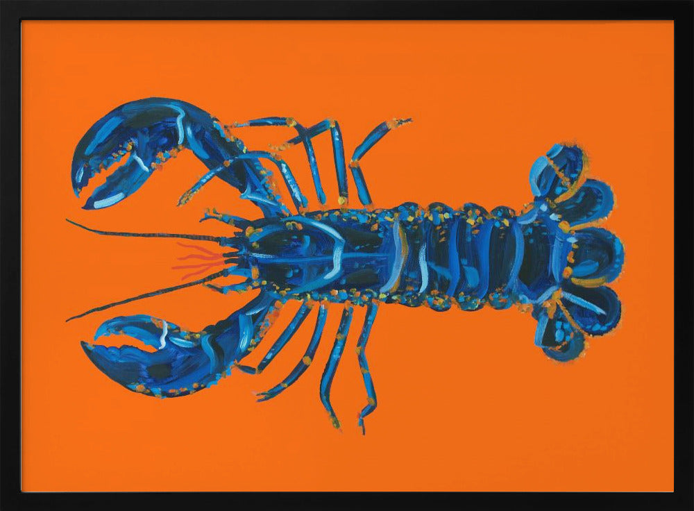 Hummer auf Orange | Poster