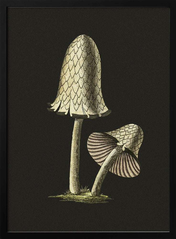 Vintage Inky Cap Edible Mushroom Black Background | Poster