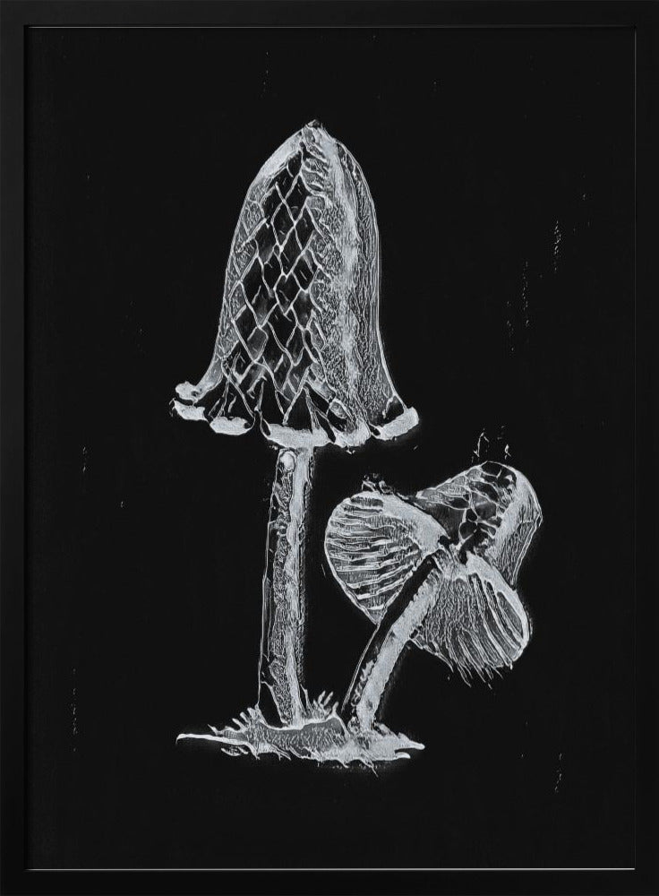 Vintager Tintenfisch-Esspilz, dunkles Schwarzweiß-Poster