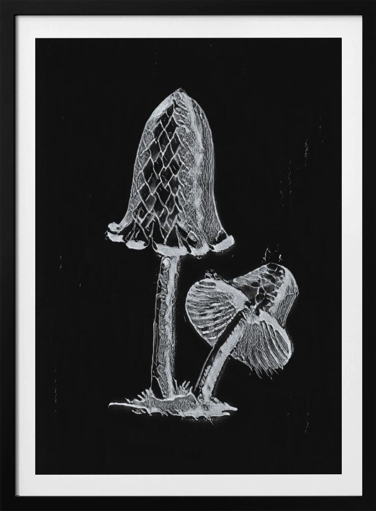 Vintager Tintenfisch-Esspilz, dunkles Schwarzweiß-Poster