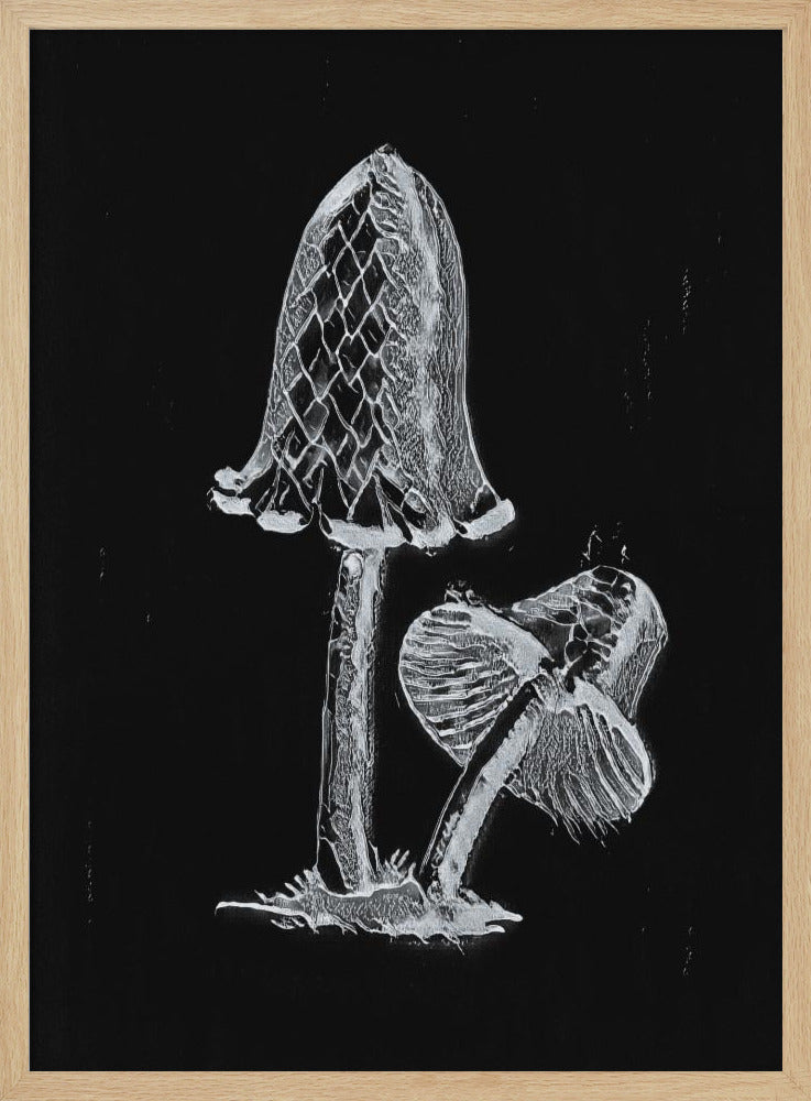 Vintager Tintenfisch-Esspilz, dunkles Schwarzweiß-Poster