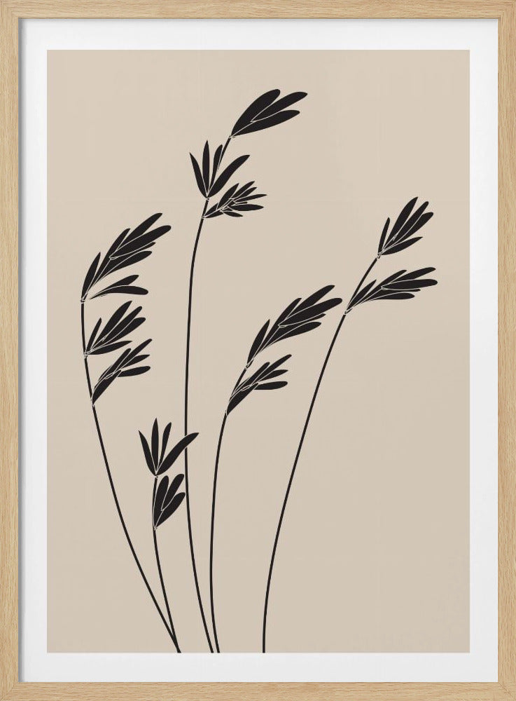 Schwarze Pflanzen | Poster