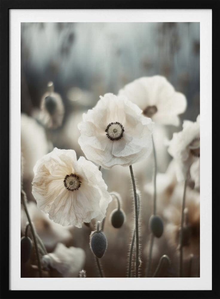 Mohnblumengeflüster | Poster