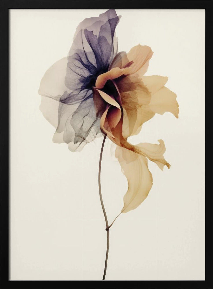 Chiffonblume | Poster