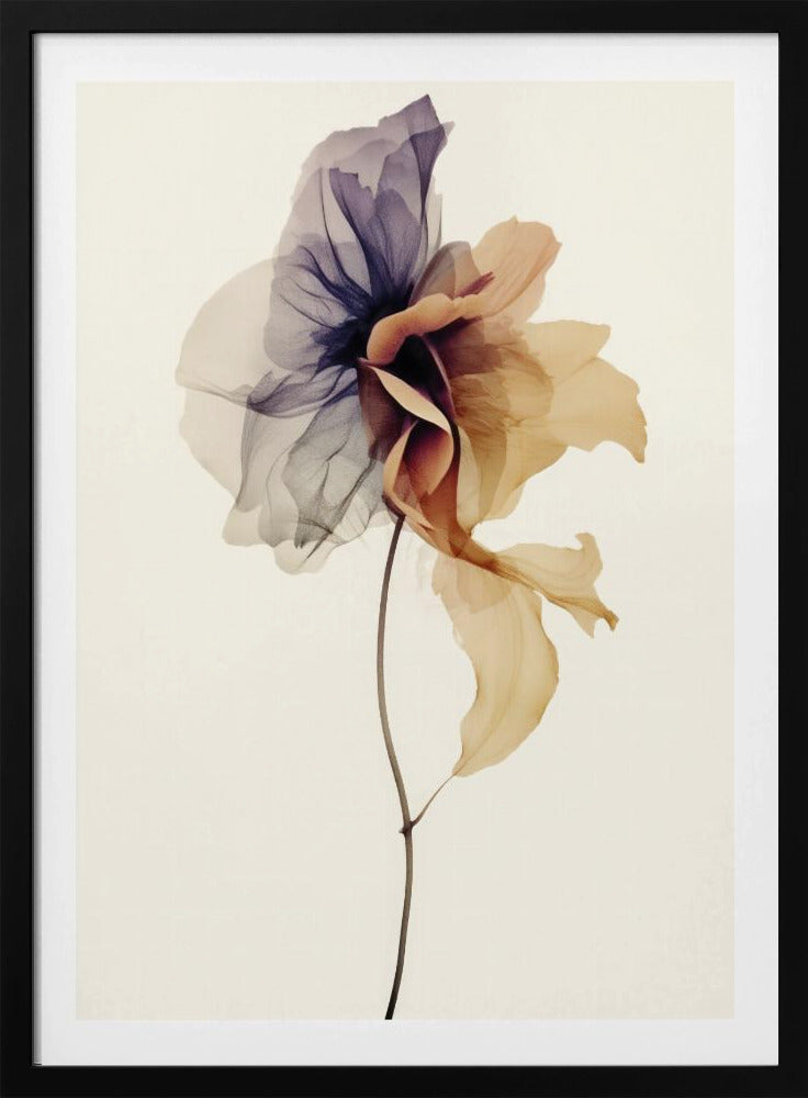 Chiffonblume | Poster