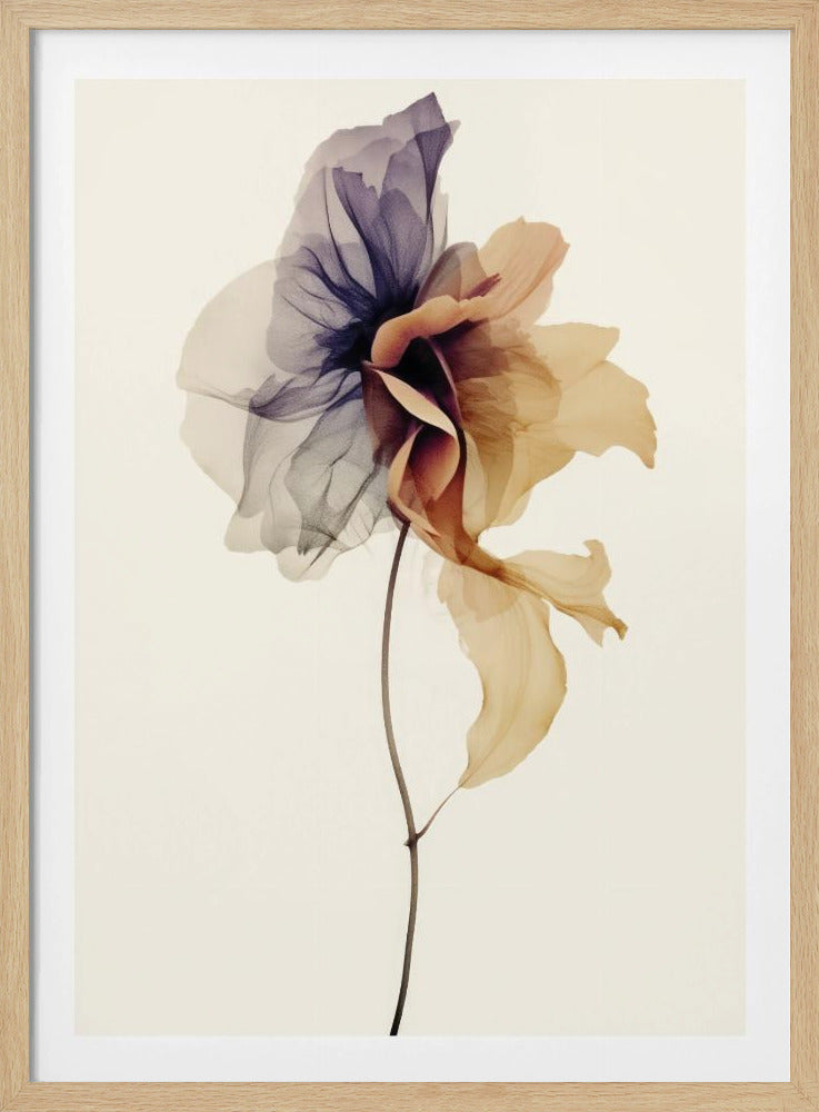 Chiffonblume | Poster