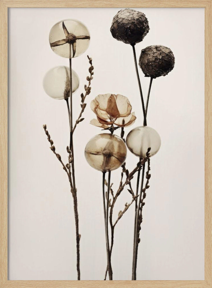 Glaskugelblumen | Poster