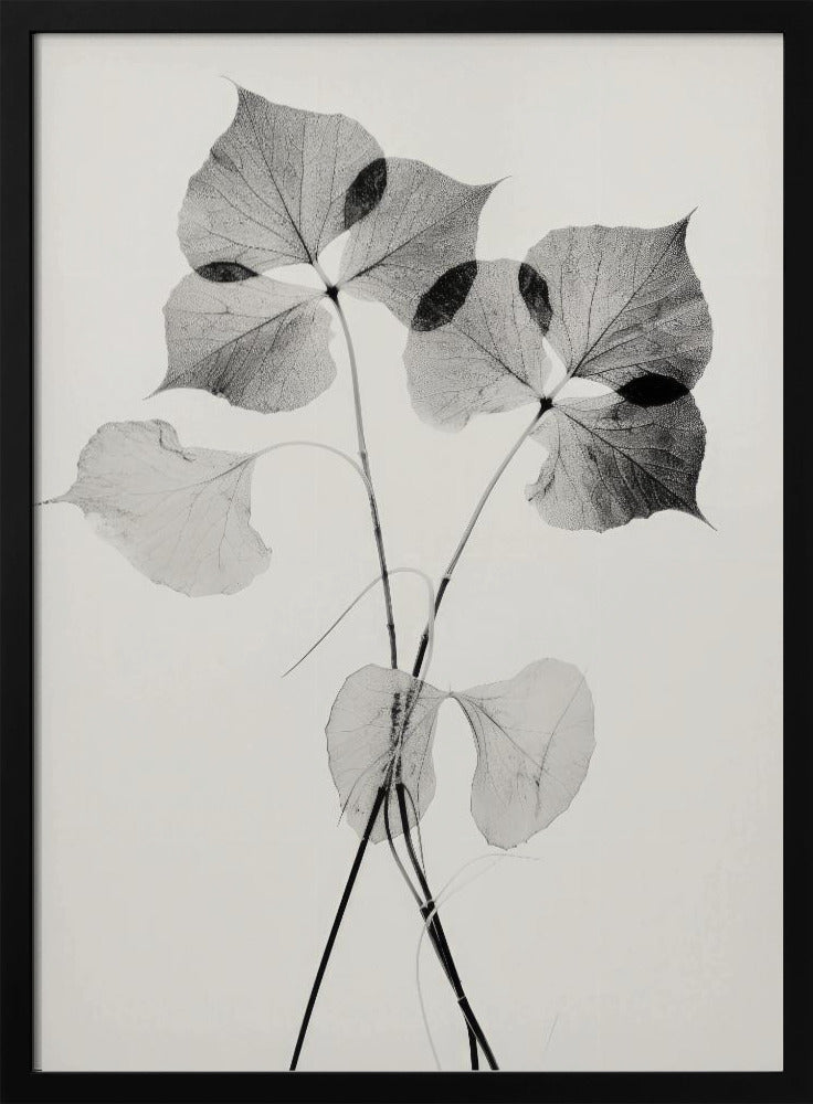 Ätherische Blätter | Poster