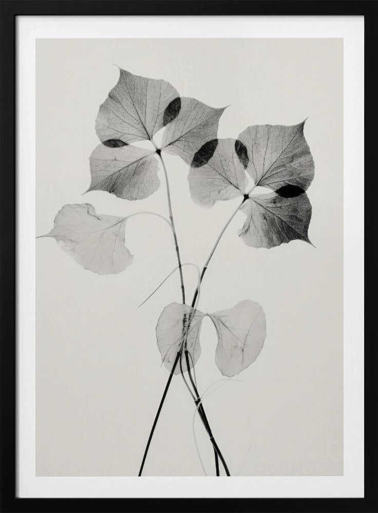 Ätherische Blätter | Poster