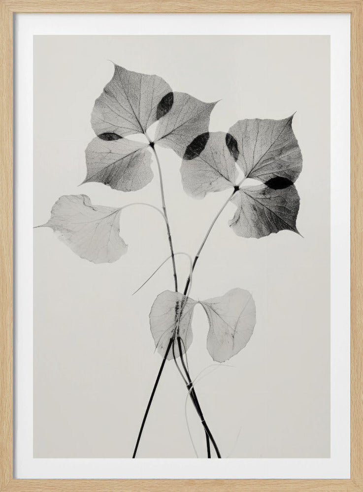 Ätherische Blätter | Poster