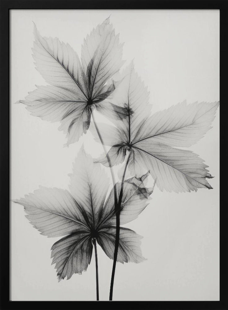 Ethereal Veins | Poster