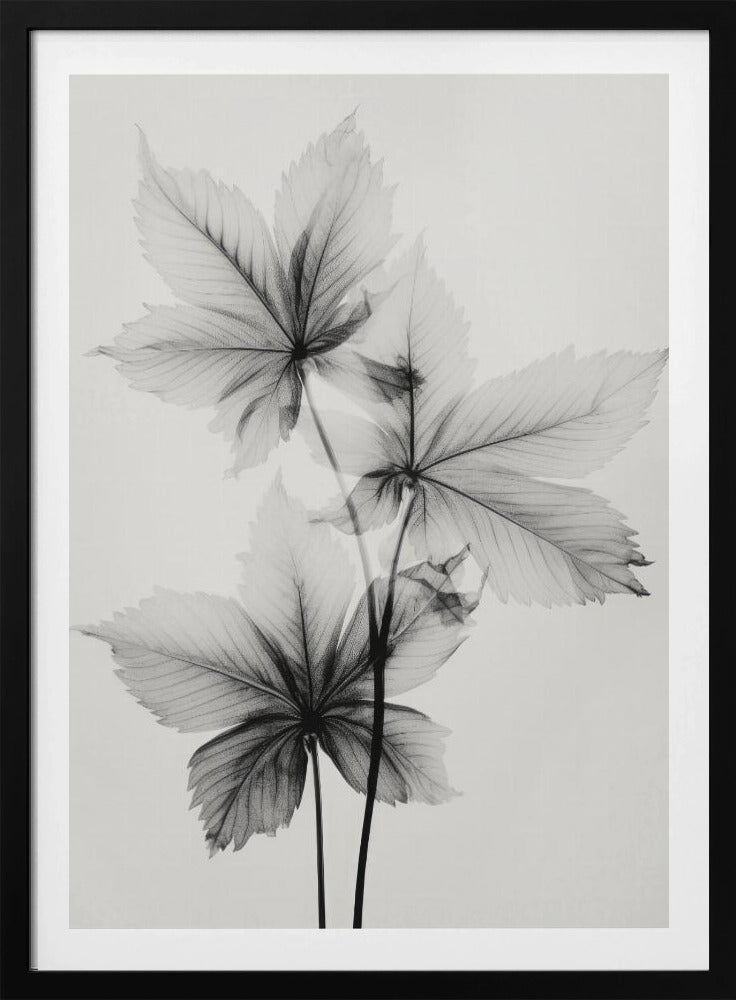 Ethereal Veins | Poster