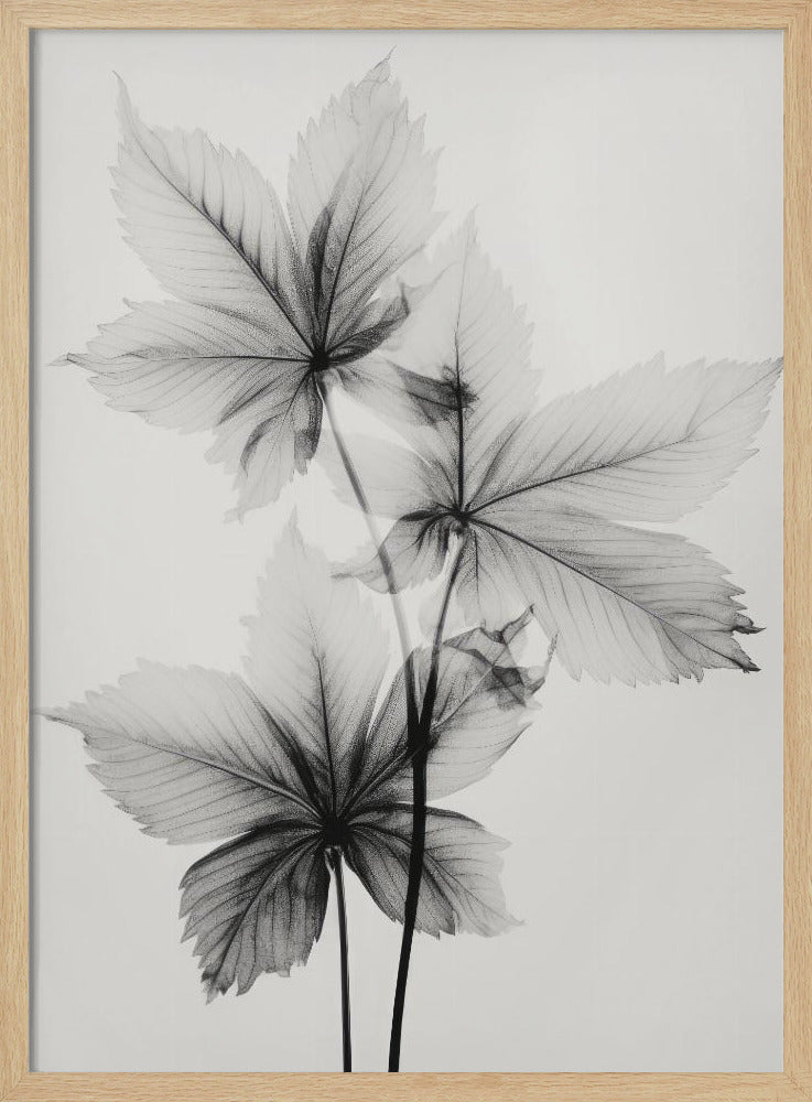 Ethereal Veins | Poster