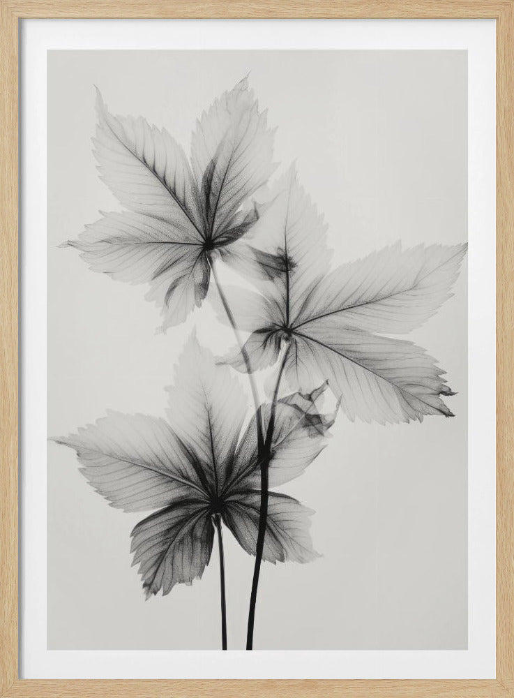 Ethereal Veins | Poster