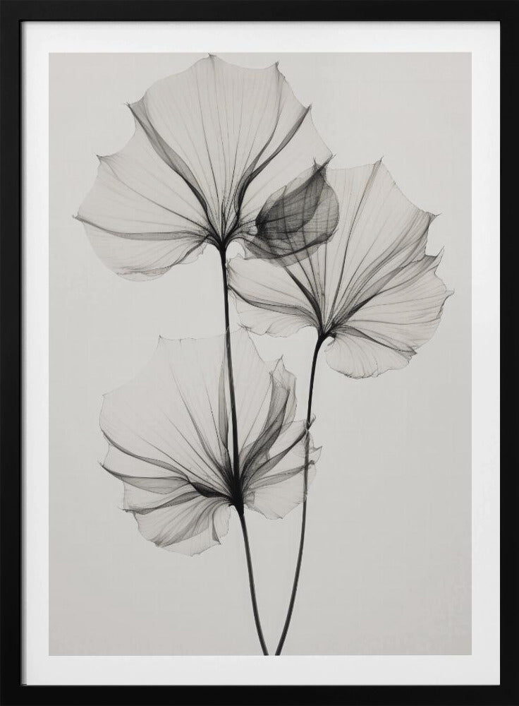 Transparent Botanic No 3 | Poster