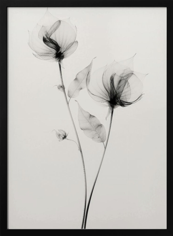 Ethereal Blooms | Poster