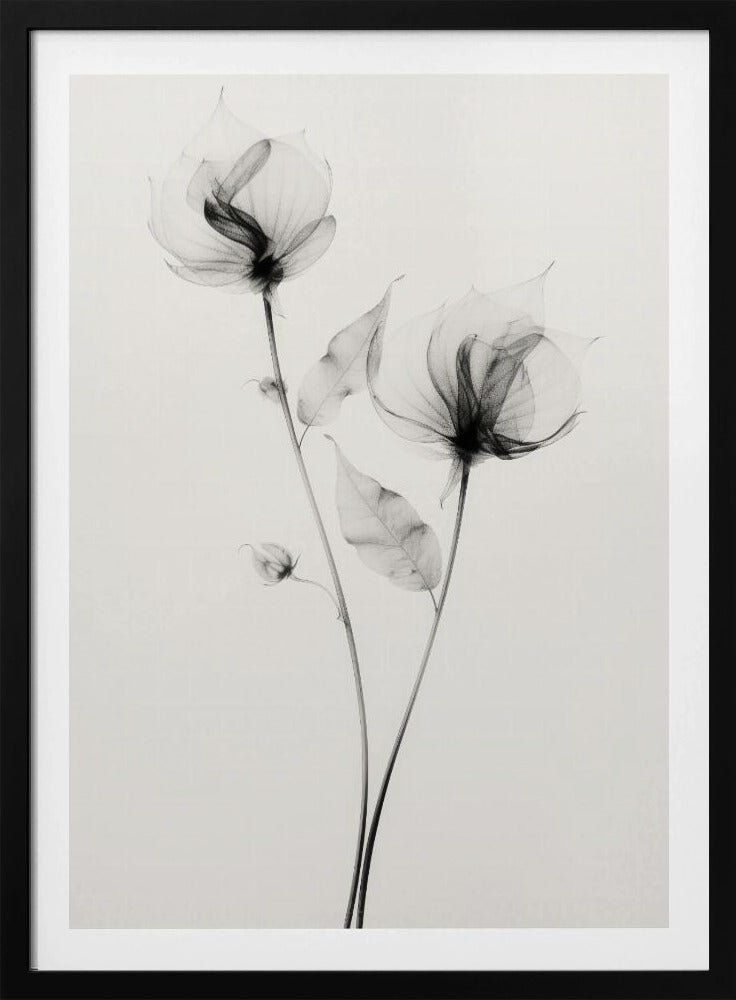 Ethereal Blooms | Poster
