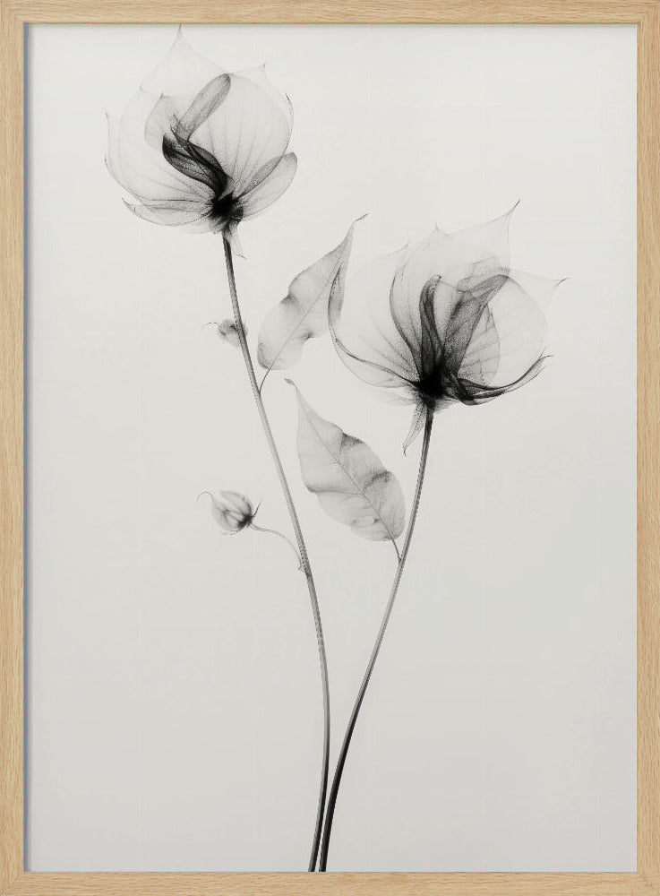Ethereal Blooms | Poster