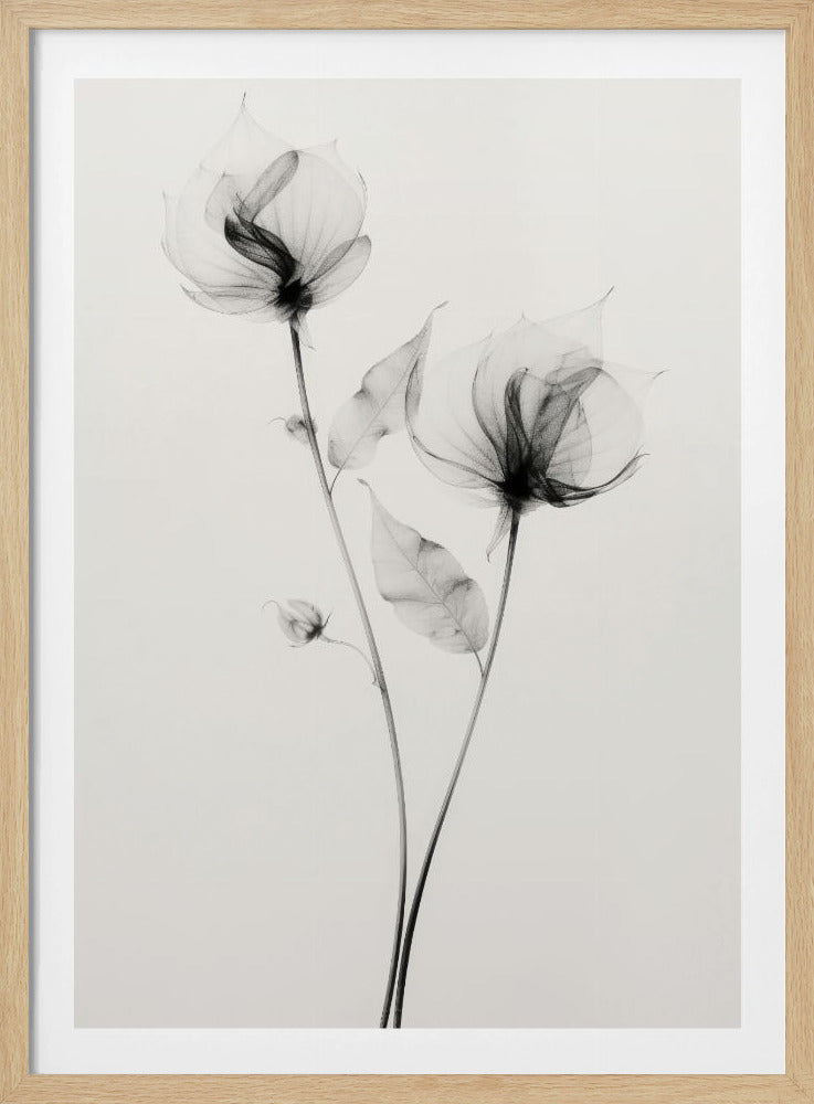 Ethereal Blooms | Poster