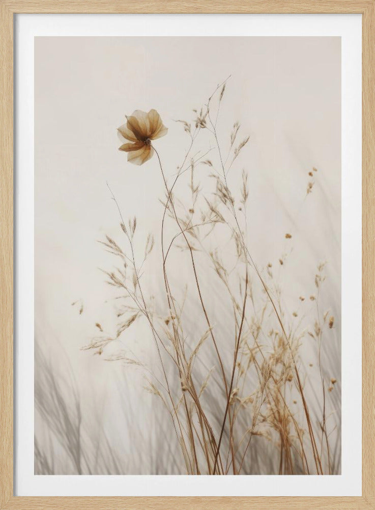 Flüsternde Blütenblätter | Poster