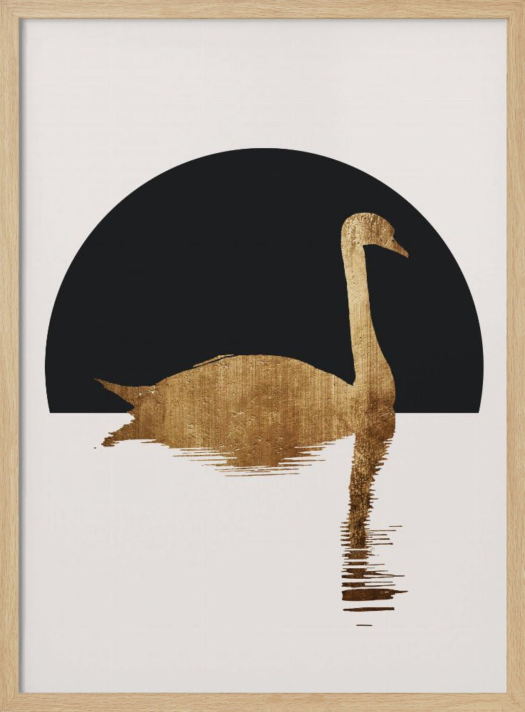 Der Schwan Schwarz | Poster