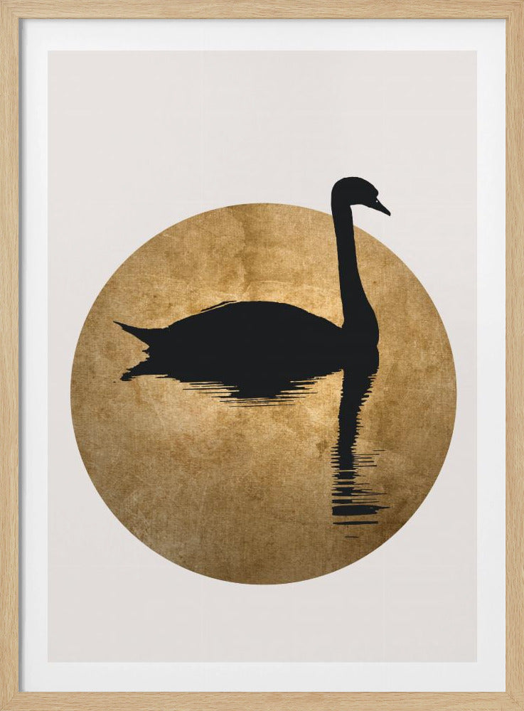 Das Schwanengold | Poster