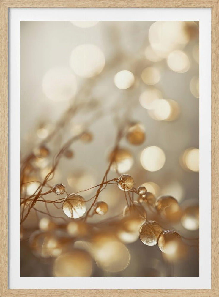 Golden Glow Drops | Poster