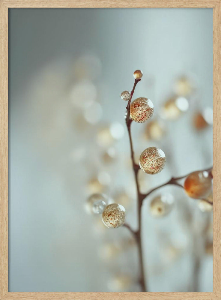 Leuchtende Tautropfen | Poster