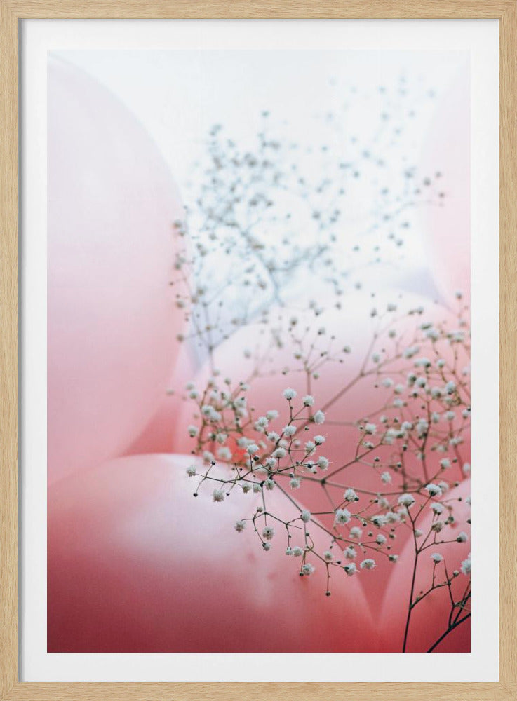 Zarte Ballons mit Blume | Poster