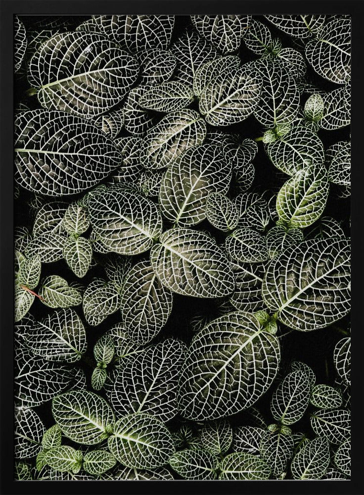 Veins of Nature | Poster