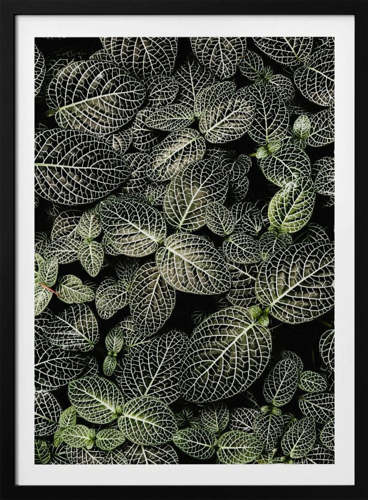 Veins of Nature | Poster