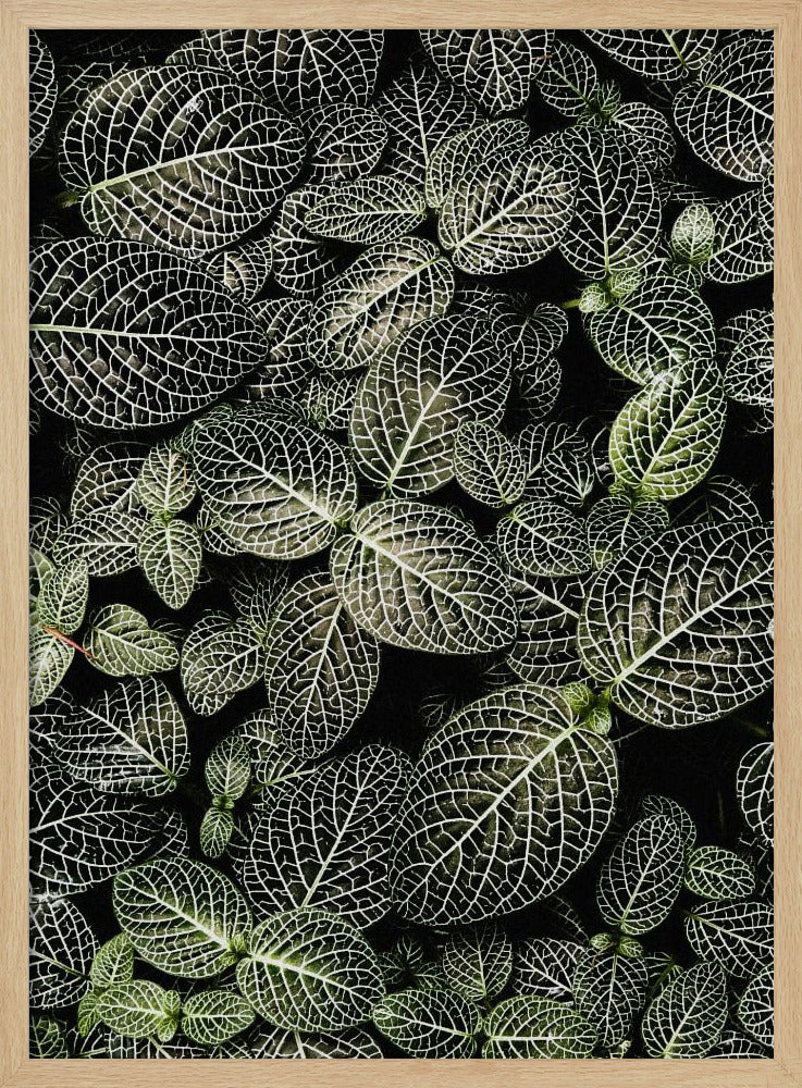 Veins of Nature | Poster