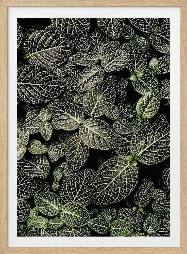 Veins of Nature | Poster