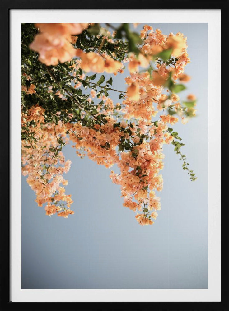 Goldener Blütentanz | Poster