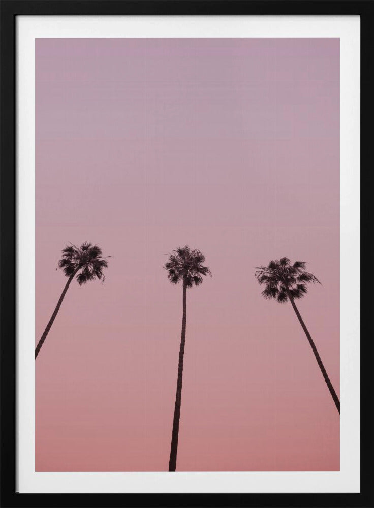 Rosa Himmelstrio | Poster
