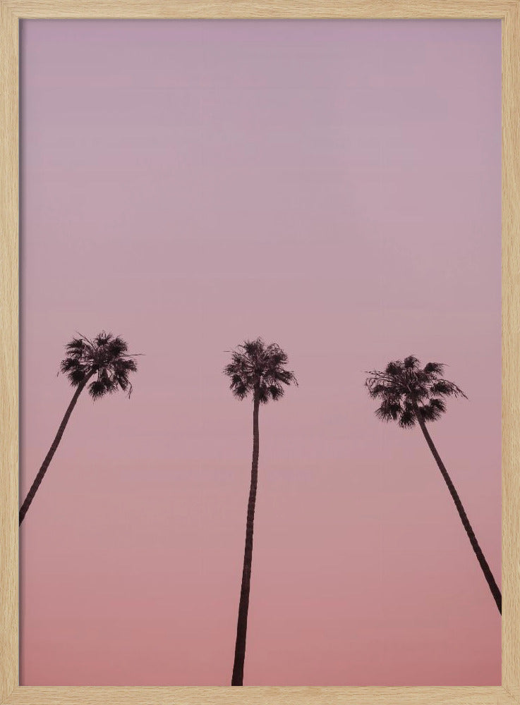 Rosa Himmelstrio | Poster