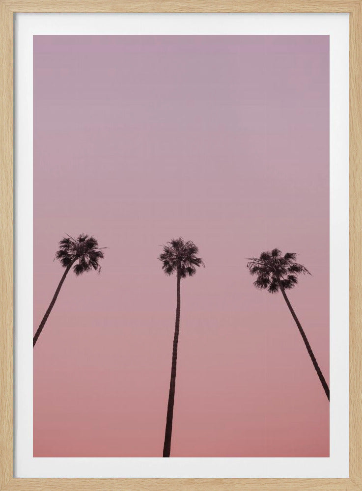 Rosa Himmelstrio | Poster