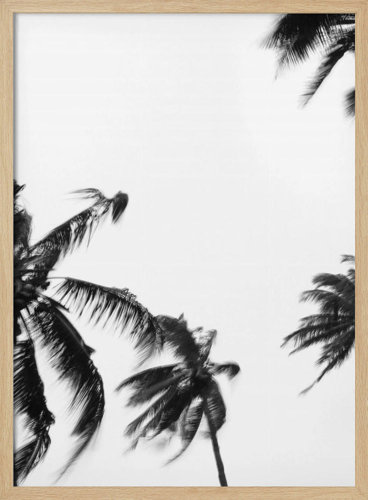 Wiegende Palmen | Poster
