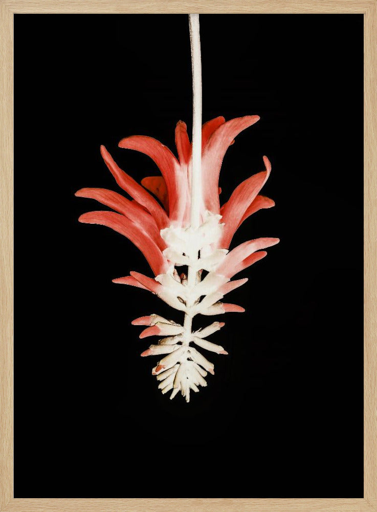 Blütenblatt-Skelett-Fusion | Poster
