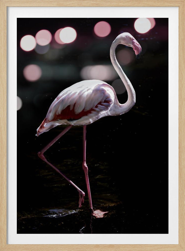Eleganter Flamingo | Poster