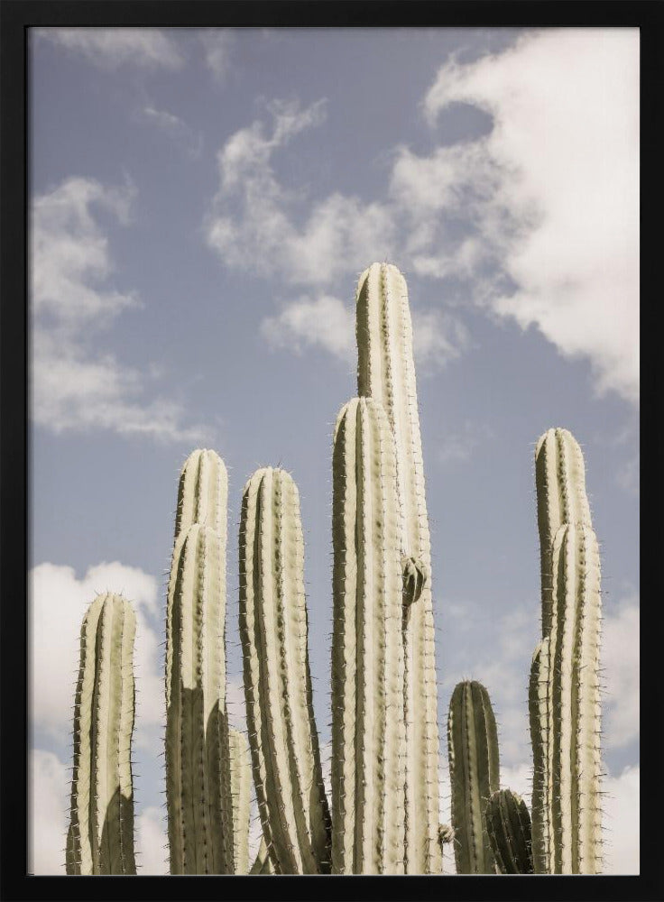Desert Sentinels | Poster