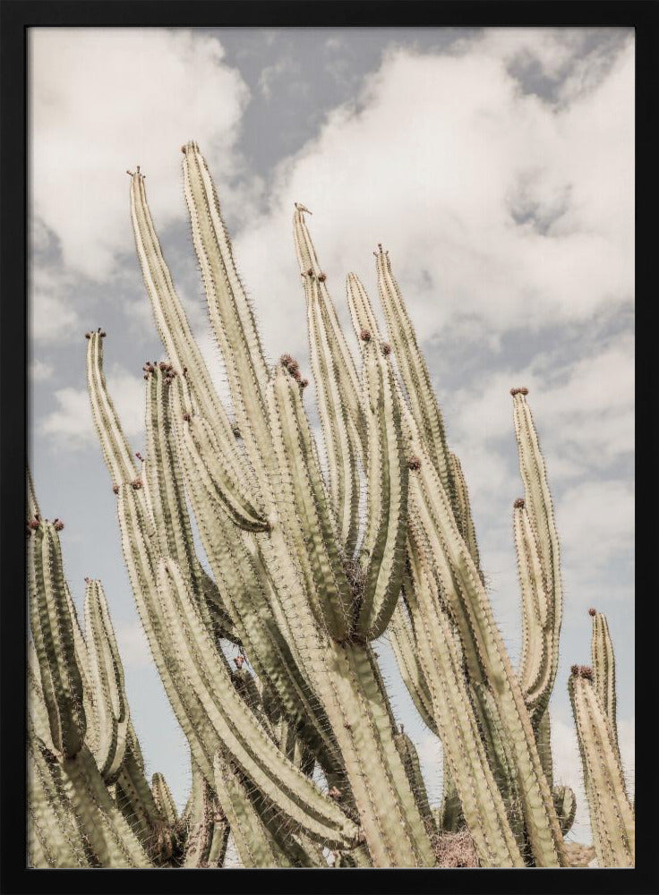 Desert Sentinels | Poster