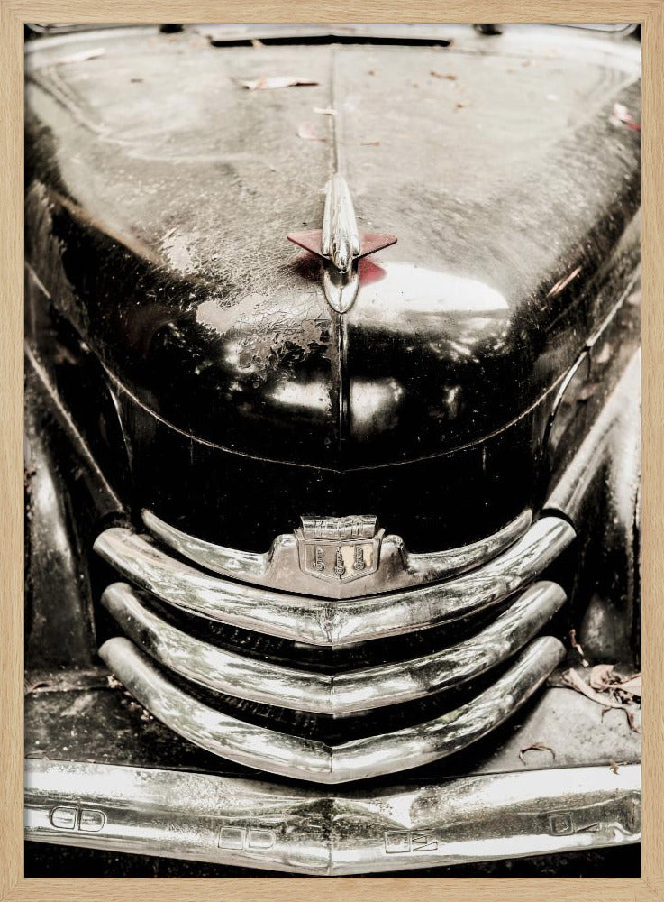 Vintage-Eleganz | Poster
