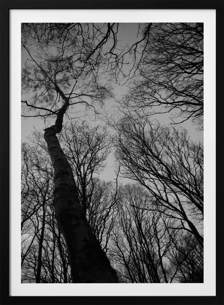 Winter's Reach | Poster